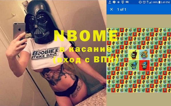 не бодяженный Бородино