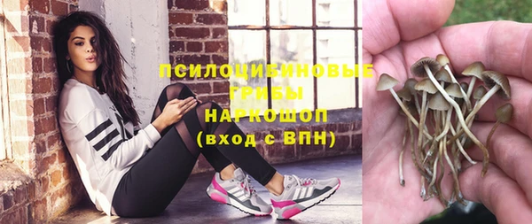 mix Белокуриха