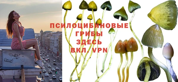 не бодяженный Бородино