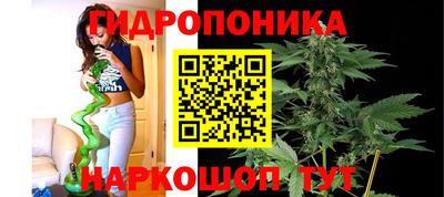 spice Будённовск