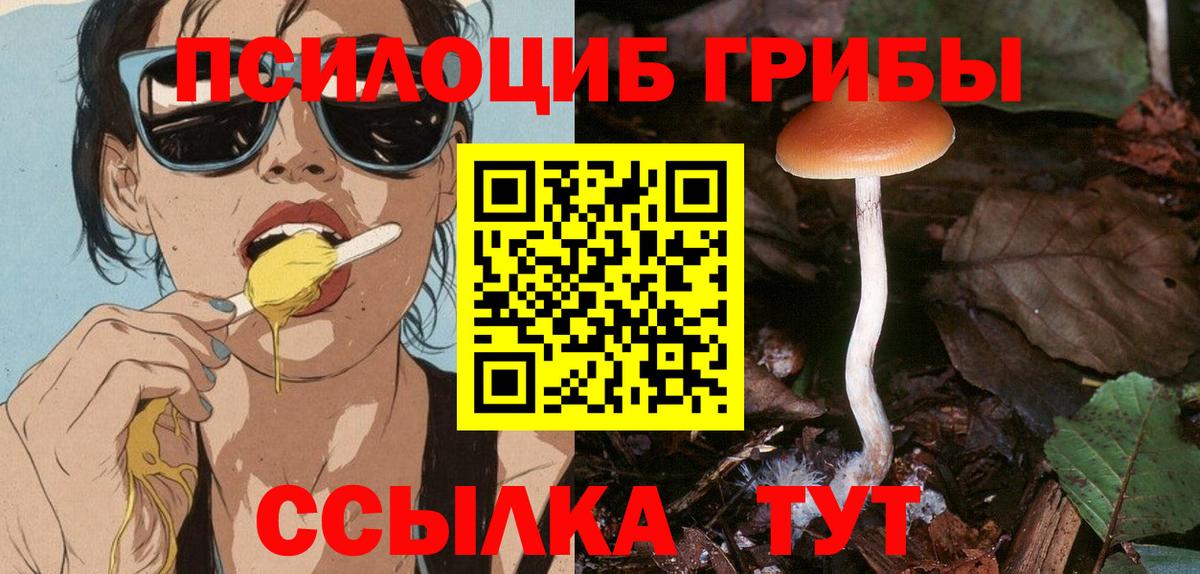 Галлюциногенные грибы мухоморы  Псилоцибиновые грибы Psilocybine cubensis  Воркута  Вход с VPN 